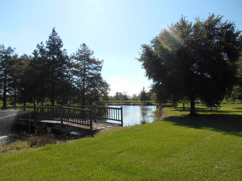 13505 Junius Rd, Abbeville, LA 70510